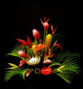 TROPICAL SURPRISE