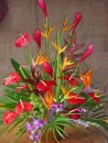 TROPICAL ABUNDANCE
