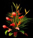 TROPICAL DREAM